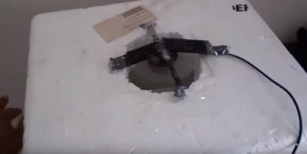 Foto - Sıcaktan bunalınca bakın ne yaptı!