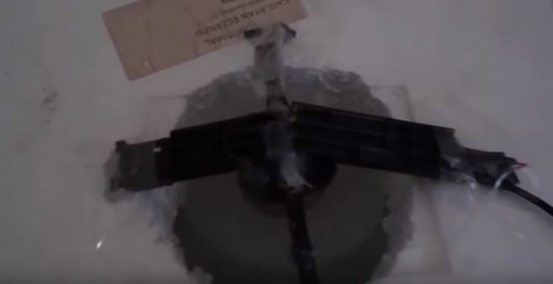 Foto - Sıcaktan bunalınca bakın ne yaptı!