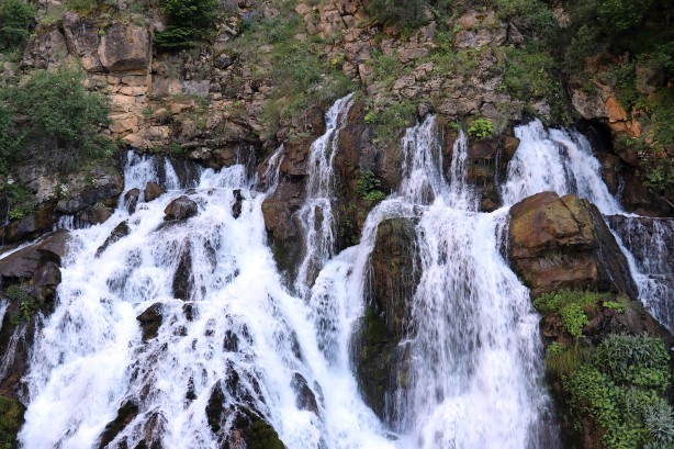 Foto - Sıcaktan kaçan soluğu bakın nerede aldı