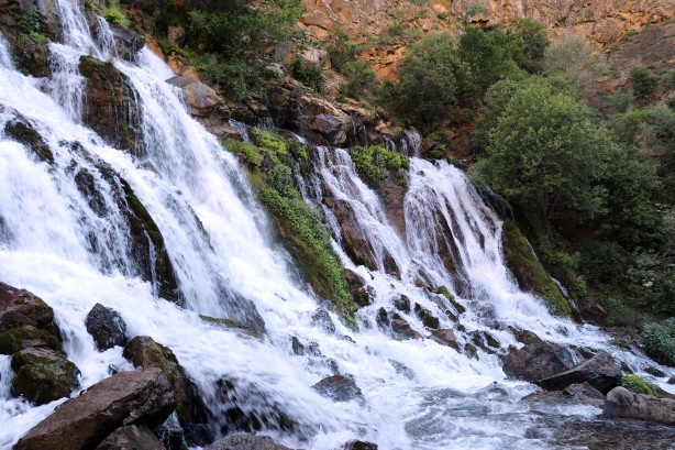 Foto - Sıcaktan kaçan soluğu bakın nerede aldı
