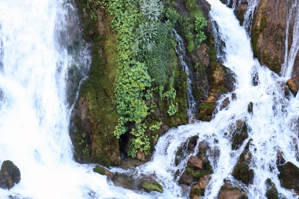 Foto - Sıcaktan kaçan soluğu bakın nerede aldı