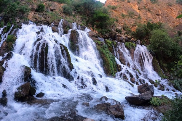 Foto - Sıcaktan kaçan soluğu bakın nerede aldı
