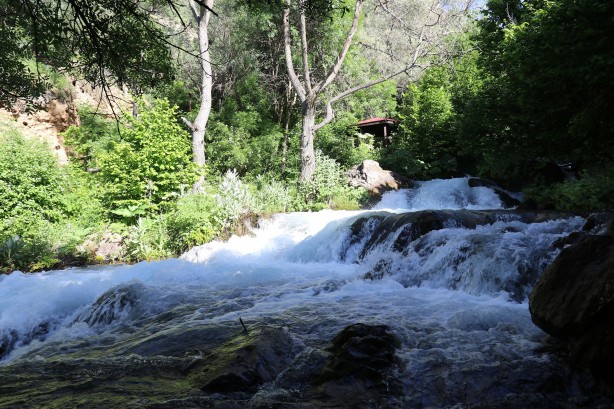 Foto - Sıcaktan kaçan soluğu bakın nerede aldı