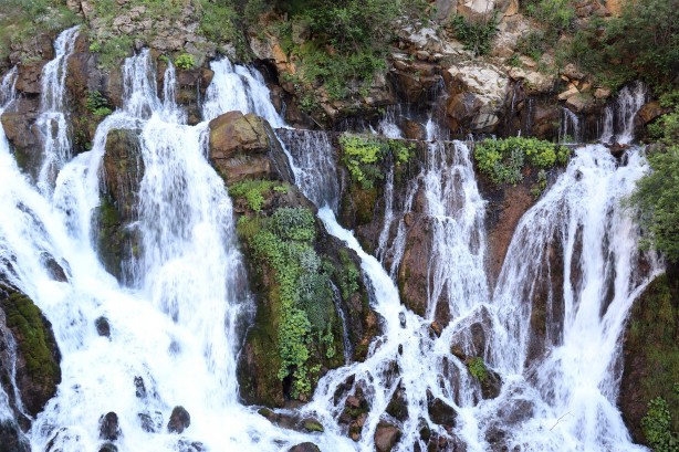 Foto - Sıcaktan kaçan soluğu bakın nerede aldı