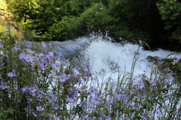 Foto - Sıcaktan kaçan soluğu bakın nerede aldı