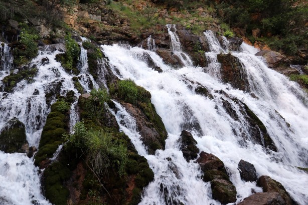 Foto - Sıcaktan kaçan soluğu bakın nerede aldı
