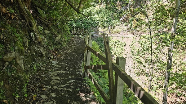 Foto - Sıcaktan kaçanların rotası: Mençuna Şelalesi