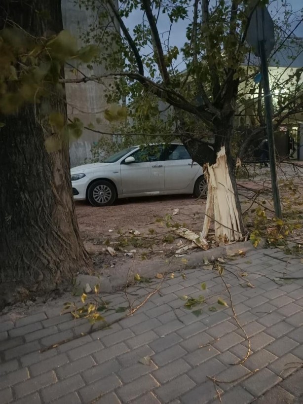 Foto - Şiddetli lodos hayatı felç etti!