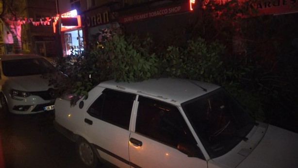 Şiddetli lodos uyarısı! Ağaç aracın üzerine devrildi