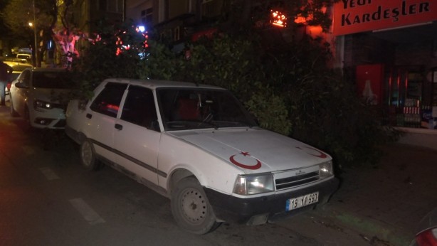 Foto - Şiddetli lodos uyarısı! Ağaç aracın üzerine devrildi