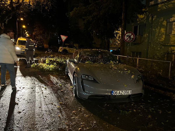 Foto - Şiddetli rüzgar ağacı yerinden söktü! 