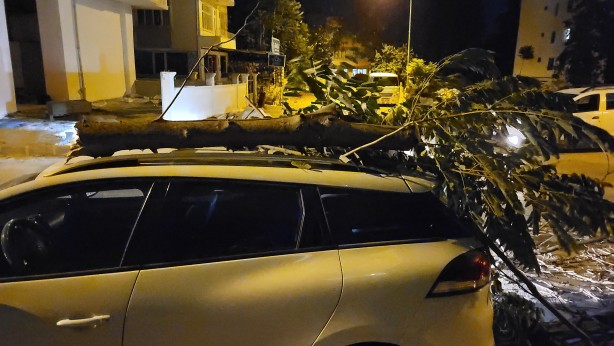 Foto - Şiddetli rüzgardan kırılan ağaç dalı aracın üzerine düştü
