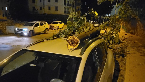 Foto - Şiddetli rüzgardan kırılan ağaç dalı aracın üzerine düştü