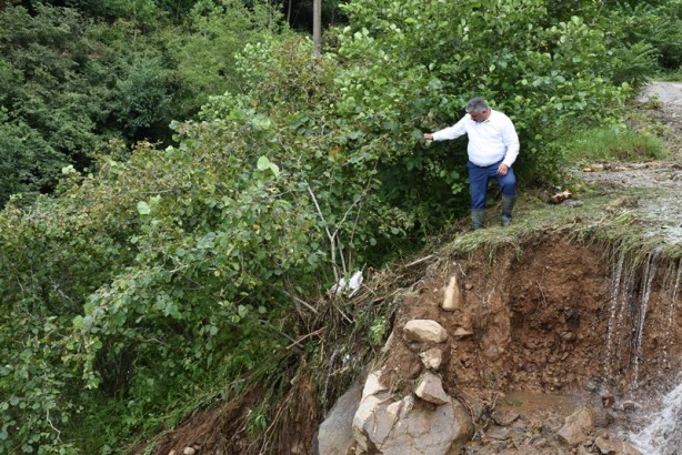 Şiddetli yağıştan etkilenen fındık bahçelerinde hasar tespit çalışması başlatıldı