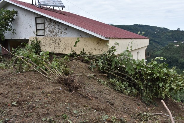 Foto - Şiddetli yağıştan etkilenen fındık bahçelerinde hasar tespit çalışması başlatıldı