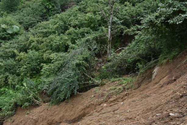 Foto - Şiddetli yağıştan etkilenen fındık bahçelerinde hasar tespit çalışması başlatıldı