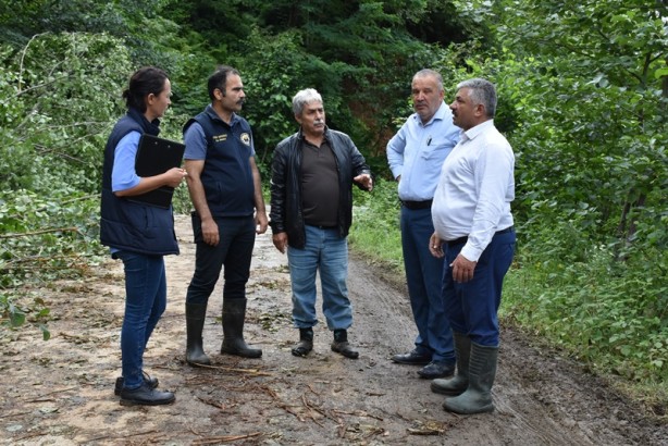 Foto - Şiddetli yağıştan etkilenen fındık bahçelerinde hasar tespit çalışması başlatıldı