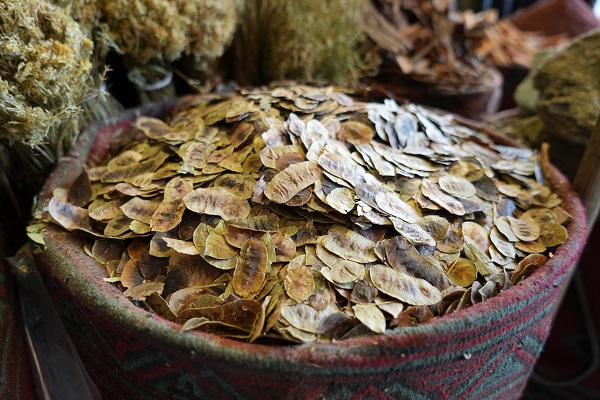 Foto - Şifa aktarda aranmaya başladı! 