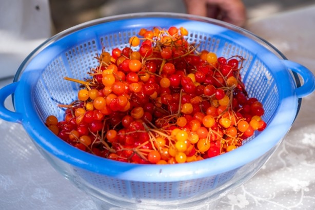 Foto - Şifa dağıtıyor! Coğrafi işareti alındı