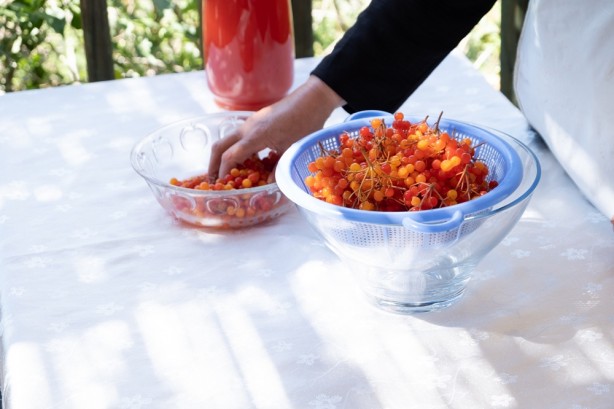 Foto - Şifa dağıtıyor! Coğrafi işareti alındı