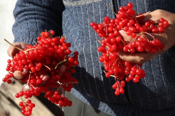 Foto - Şifa dağıtıyor! Coğrafi işareti alındı