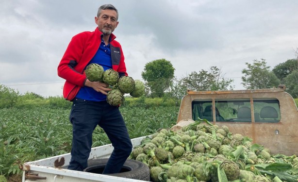 Foto - Şifa deposu! Büyüklüğü ve lezzeti ile ötekilerden ayrılıyor! Türkiye’nin her yerinden alıcısı var