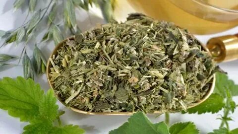 Foto - Şifa deposu ot mide ve bağırsak gazlarını böyle gideriyor