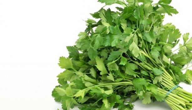 Foto - Şifa kaynağı sebze ve meyveler