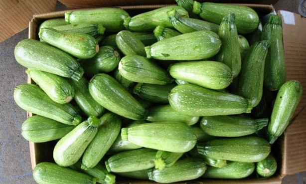 Foto - Şifa kaynağı sebze ve meyveler