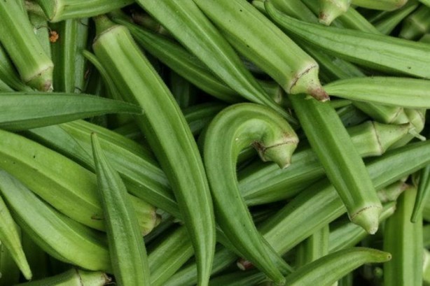 Foto - Şifa kaynağı sebze ve meyveler