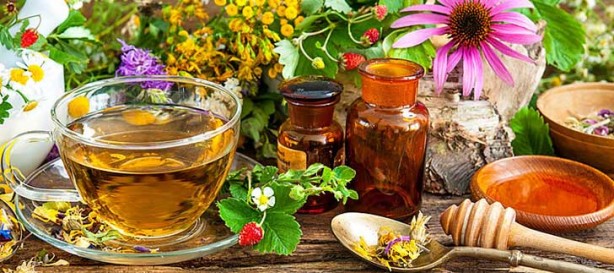 Foto - Şifa saçan şifalı bitkiler