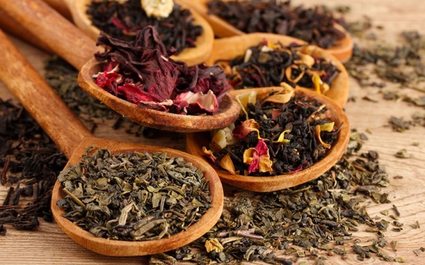 Foto - Şifa saçan şifalı bitkiler