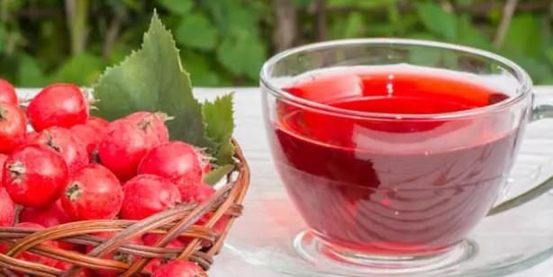 Foto - Şifa saçan şifalı bitkiler