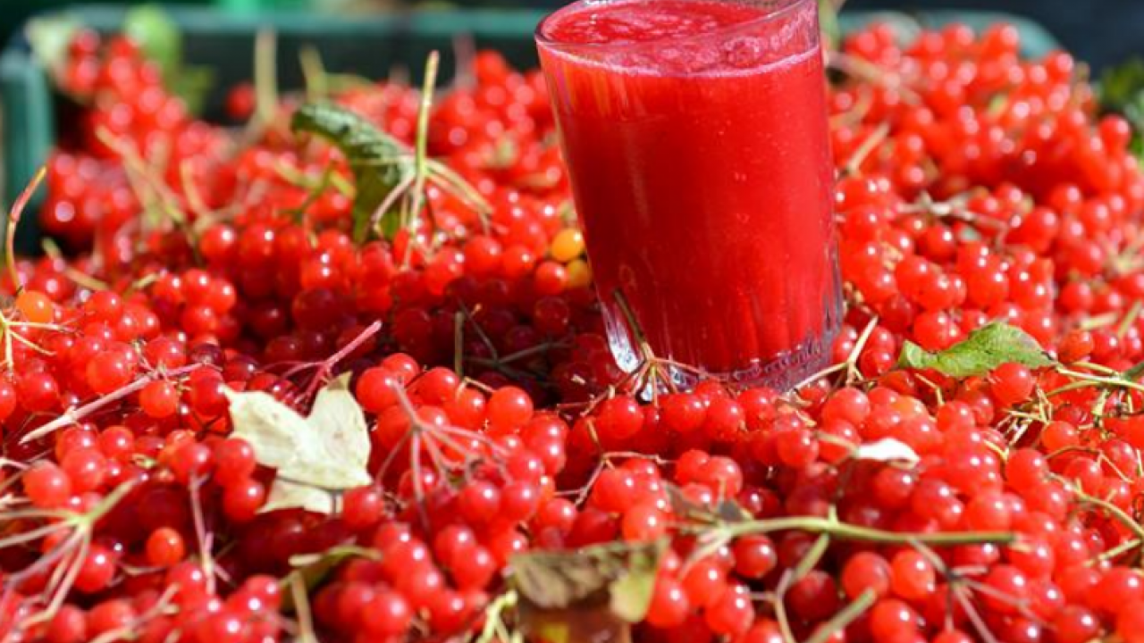 Foto - Şifa saçan 'kırmızı altın' Bu kırmızı meyve her derde deva olacak…