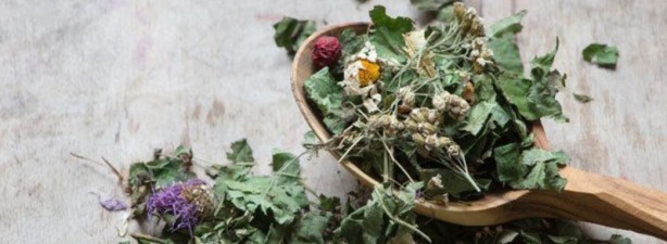 Foto - Şifa zannediyoruz ama ölüm saçıyor! Bu bitkilerin yanından bile geçmeyin