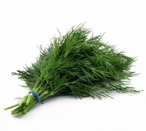 Foto - Şifa zannediyoruz ama ölüm saçıyor! Bu bitkilerin yanından bile geçmeyin