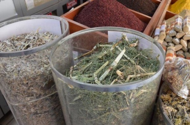 Foto - Şifa zannediyoruz ama ölüm saçıyor! Bu bitkilerin yanından bile geçmeyin