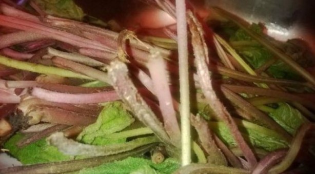 Foto - Şifa zannediyoruz ama ölüm saçıyor! Bu bitkilerin yanından bile geçmeyin