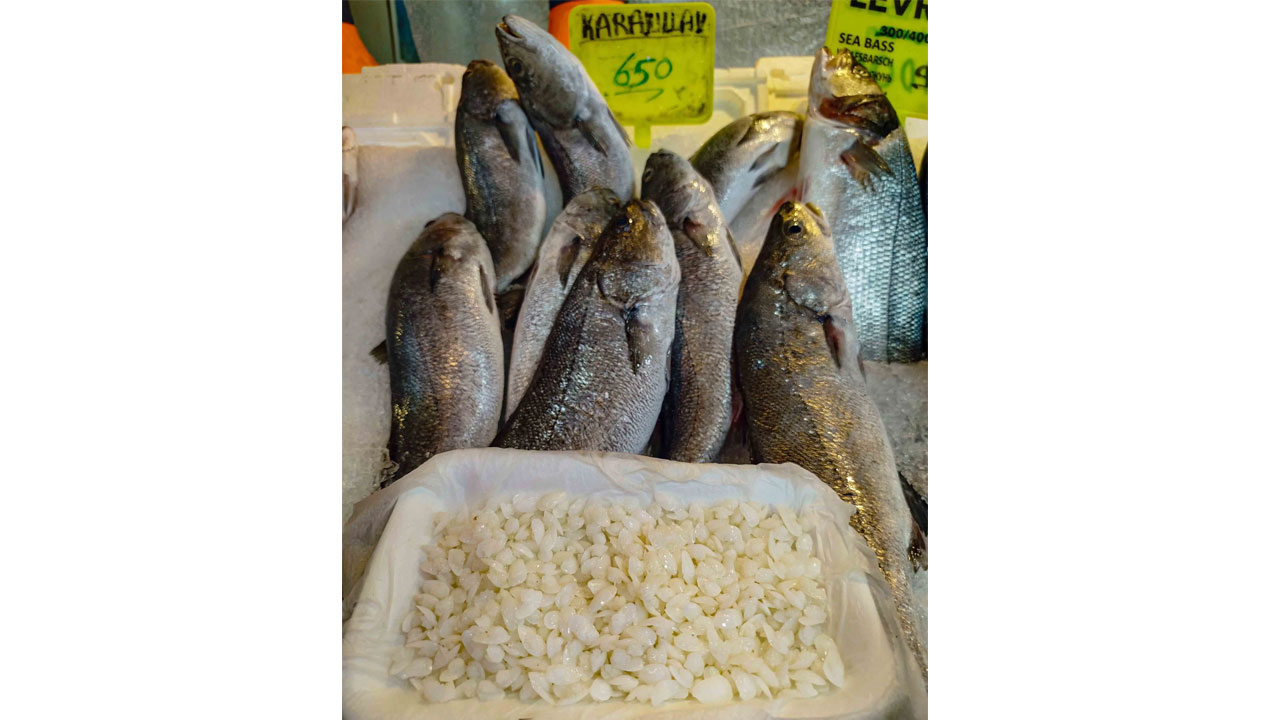 Foto - Şifalı olduğu düşünülüyor! Kendisi 650 TL, başındaki taş 10 bin TL