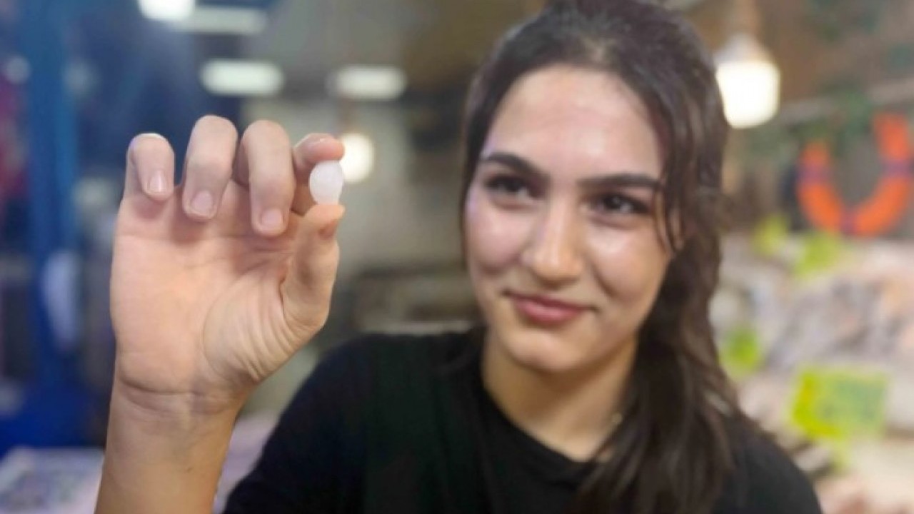 Şifalı olduğu düşünülüyor! Kendisi 650 TL, başındaki taş 10 bin TL