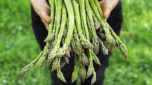 Foto - Sıfır kalorili yiyecekler: Kilonuzu korumaya yardımcı en kısa sürede görülen o etki şaşırtacak! İşte ipucu