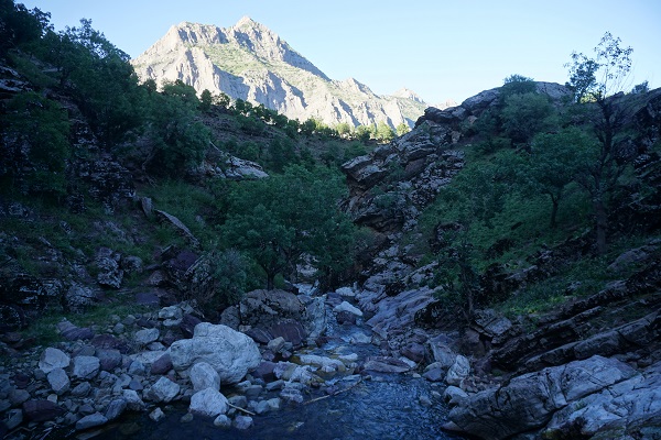 Foto - Sıfır noktasında keşfedildi! Terör bitti gizli hazine ortaya çıktı