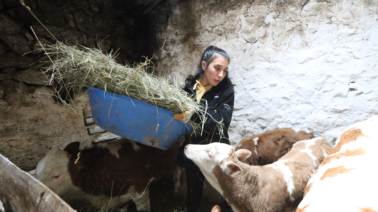Foto - Sıfırdan süt işine başladı! 100 bin liralık hibe ile işini kurdu