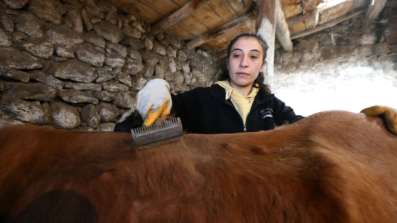 Sıfırdan süt işine başladı! 100 bin liralık hibe ile işini kurdu