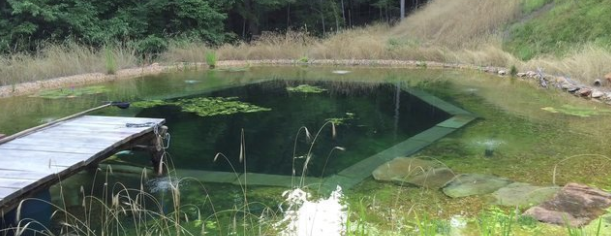 Foto - Sıfırdan yapay gölet inşa ettiler