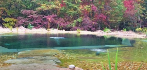 Foto - Sıfırdan yapay gölet inşa ettiler