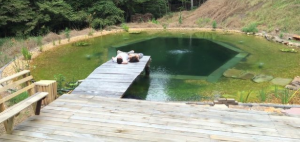 Foto - Sıfırdan yapay gölet inşa ettiler