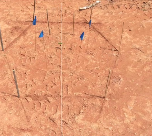 Foto - Sıfırdan yapay gölet inşa ettiler