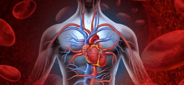 Foto - Sigara bıraktırıyor, strese, sindirime iyi geliyor, yaraları iyileştiriyor! Bu bitkinin faydaları saymakla bitmiyor...