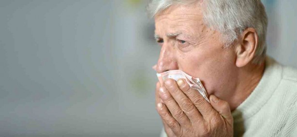 Foto - Sigara bıraktırıyor, strese, sindirime iyi geliyor, yaraları iyileştiriyor! Bu bitkinin faydaları saymakla bitmiyor...